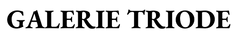 Galerie Triode – Accueil